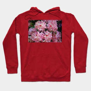 Somewhere in Somerset, May 2021 Hoodie